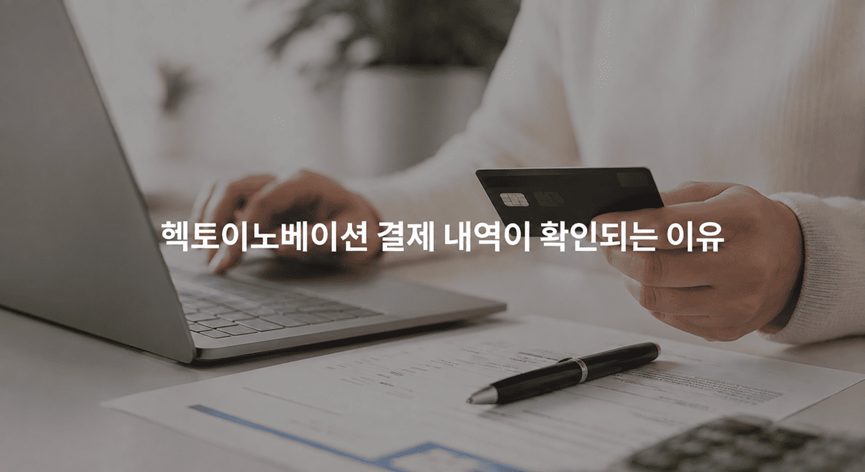 헥토이노베이션 결제내역